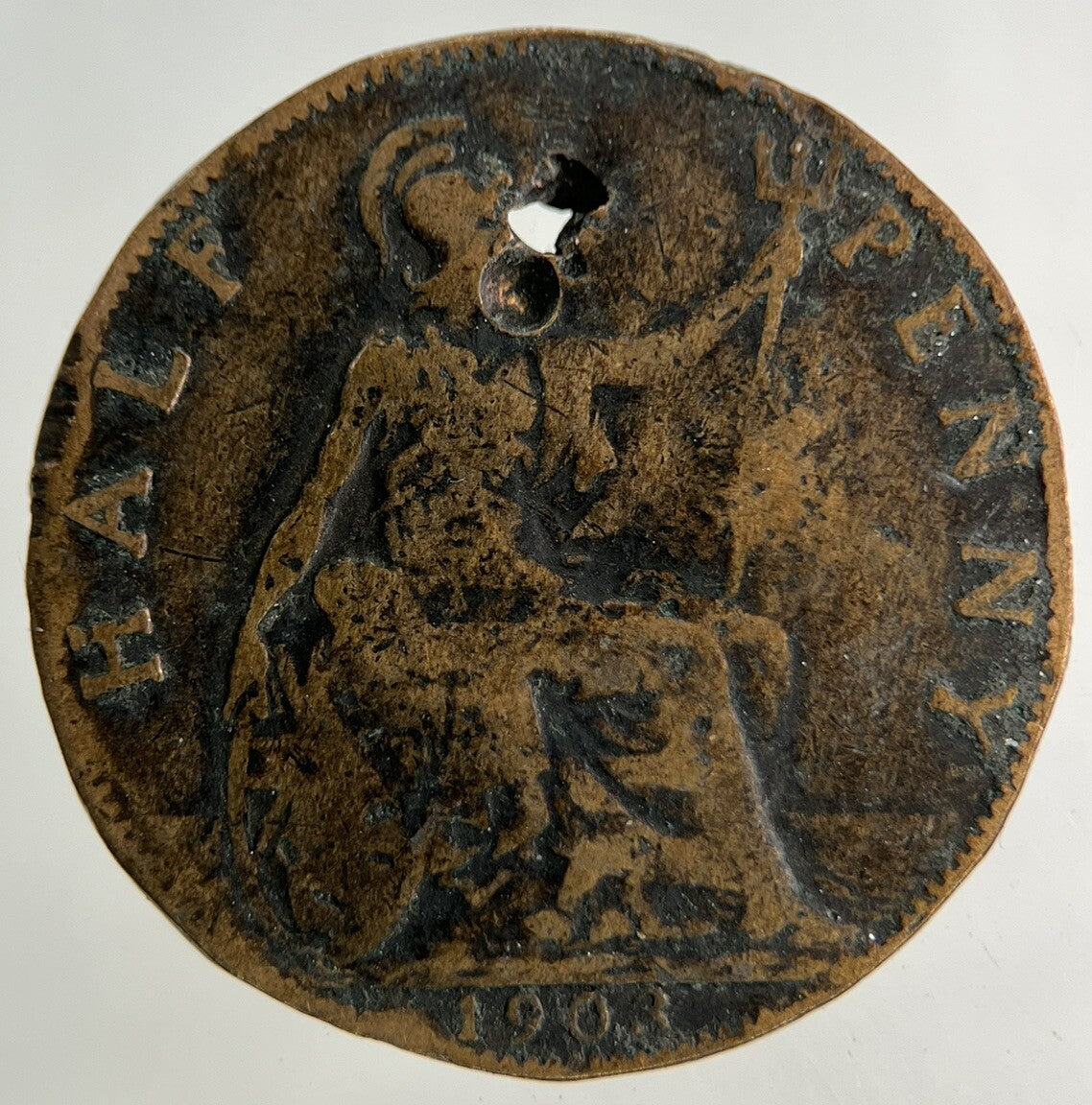1903 Edward VII Half - Penny Coin | Collectable Grade