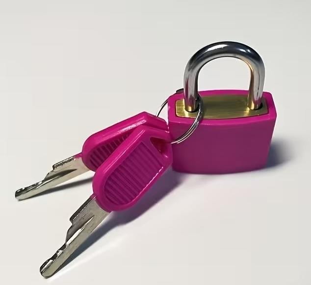x2 Purple Small Metal Security Lock Luggage Case Padlock Backpack Lock UK Stock