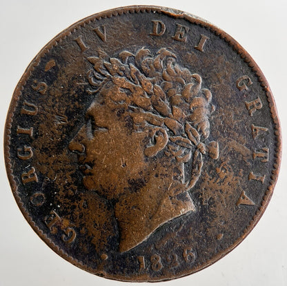 1826 George IV Half - Penny Coin | Fine Collectable Grade | a9435