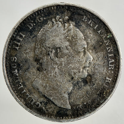 1837 William IV Shilling Silver Coin | Fine Collectable Grade