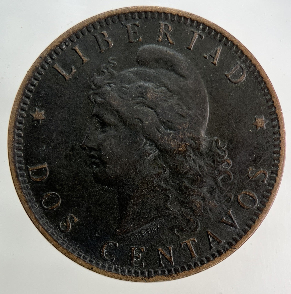 1893 Argentina 2 Dos Centavos Coin | Fine Collectable Grade
