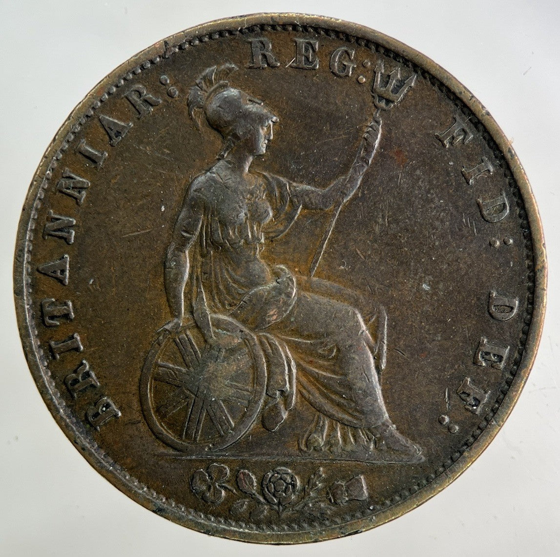 1853 Victoria Half - Penny Coin | Fine Collectable Grade