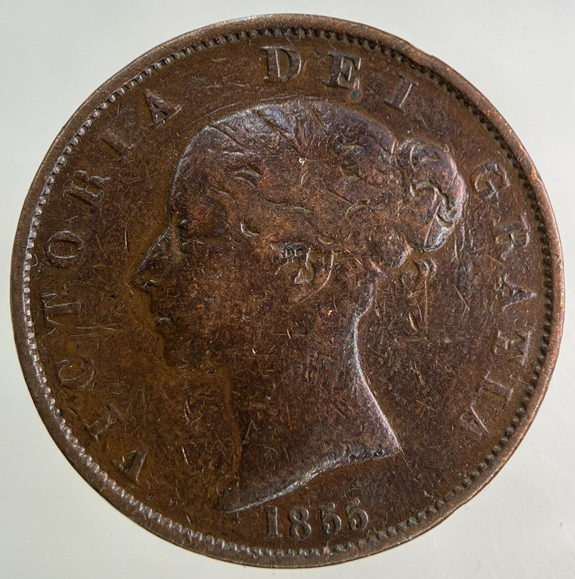 1855 Victoria Half - Penny Coin | Collectable Grade