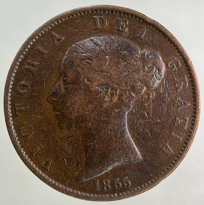 1855 Victoria Half - Penny Coin | Collectable Grade