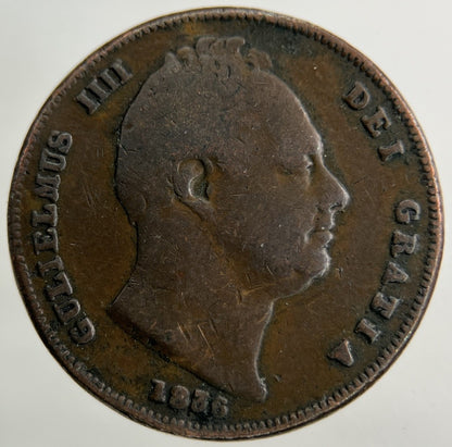 1836 William IV Farthing Coin | Collectable Grade