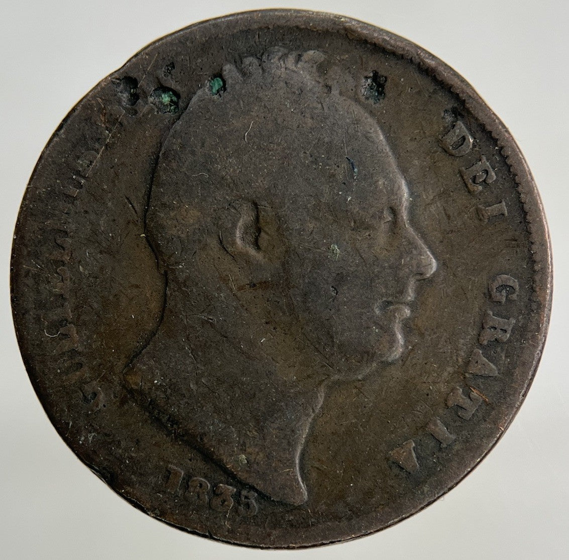 1835 William IV Farthing Coin | Collectable Grade