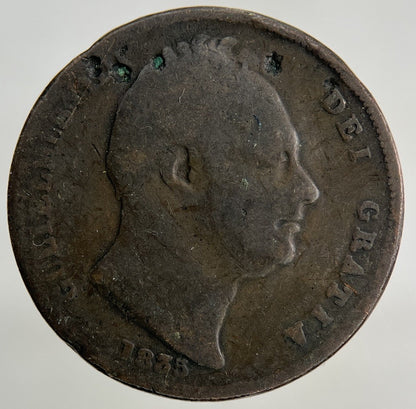 1835 William IV Farthing Coin | Collectable Grade