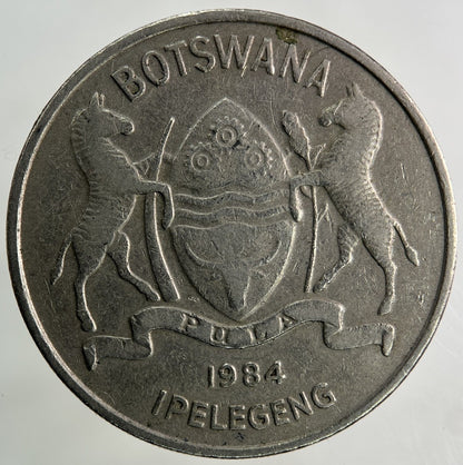 1984 Africa Botswana 50 Thebe Coin | Fine Collectable Grade