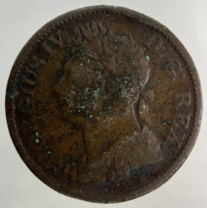 1823 Irish Half - Penny Coin | Fine Collectable Grade