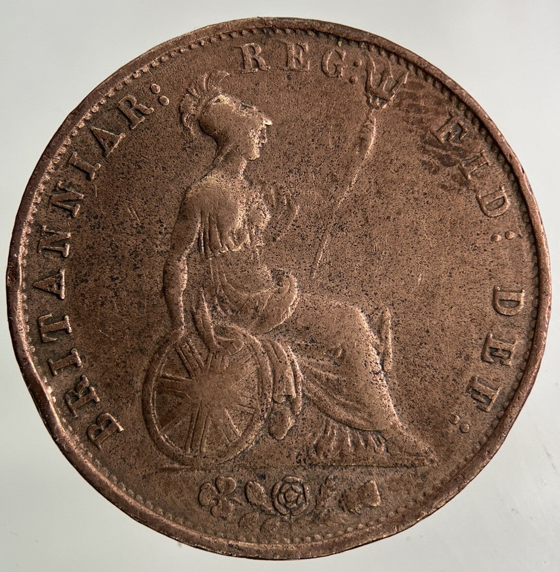 1853 Victoria Half - Penny Coin | Fine Collectable Grade