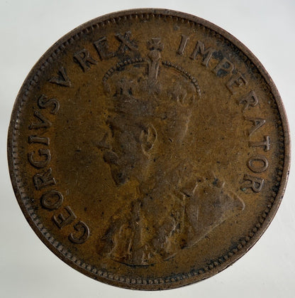 1929 South Africa Half - Penny Coin | Collectable Grade