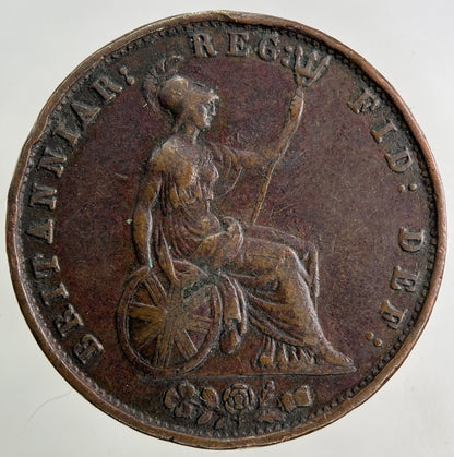 1853 Victoria Half - Penny Coin | Fine Collectable Grade