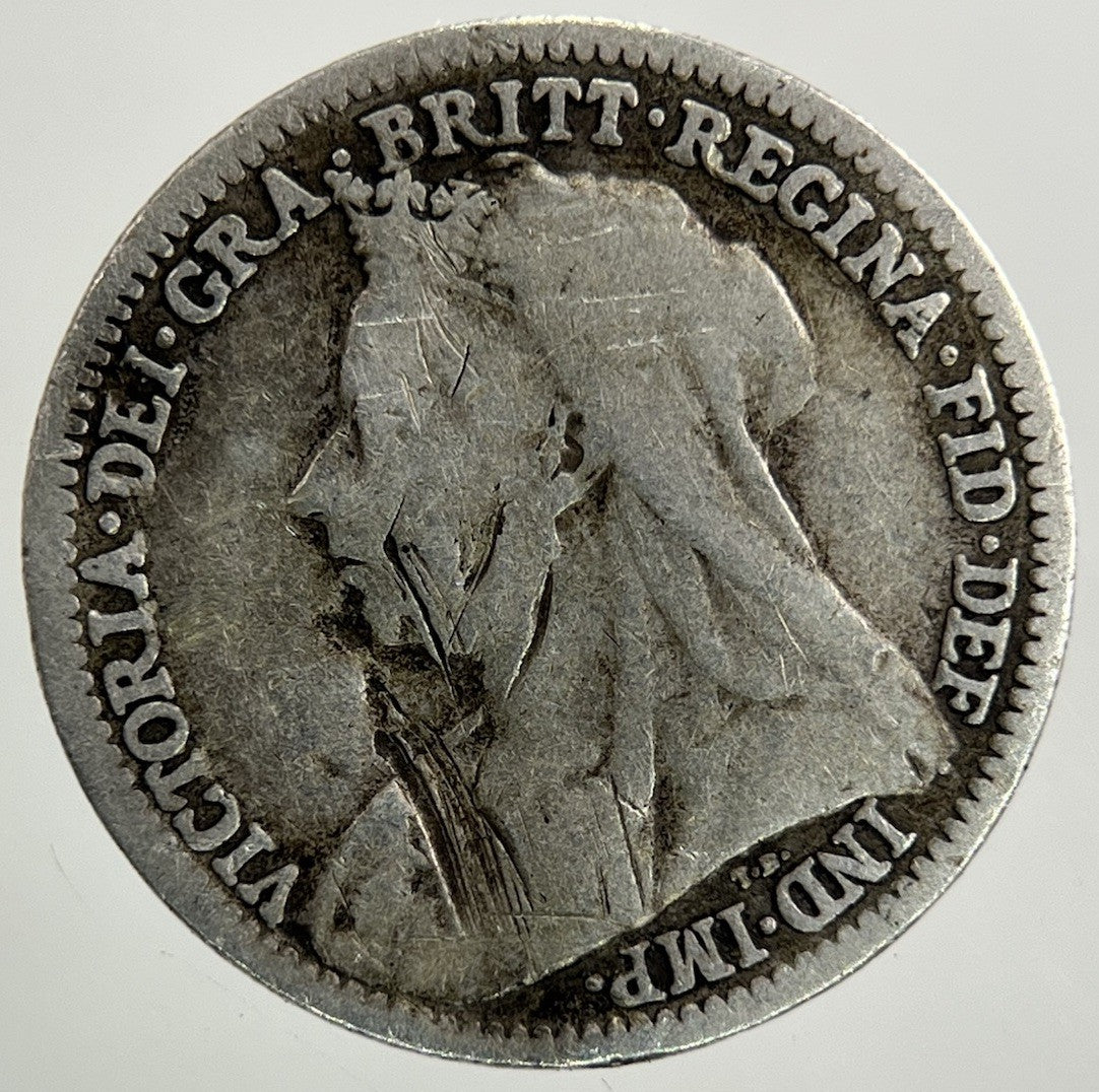 1901 Victoria Threepence Silver Coin | Collectable Grade