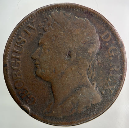 1822 Irish One Penny Coin | Fine Collectable Grade