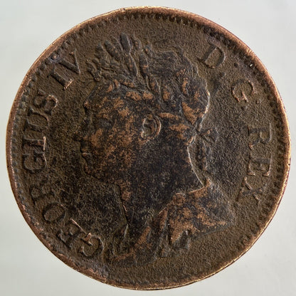 1823 Irish Half - Penny Coin | Fine Collectable Grade