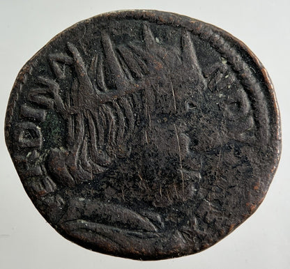 1495 - 96 Italy Caballo Aquileia Naples Ferdinand II Regni Coin Collectable Grade