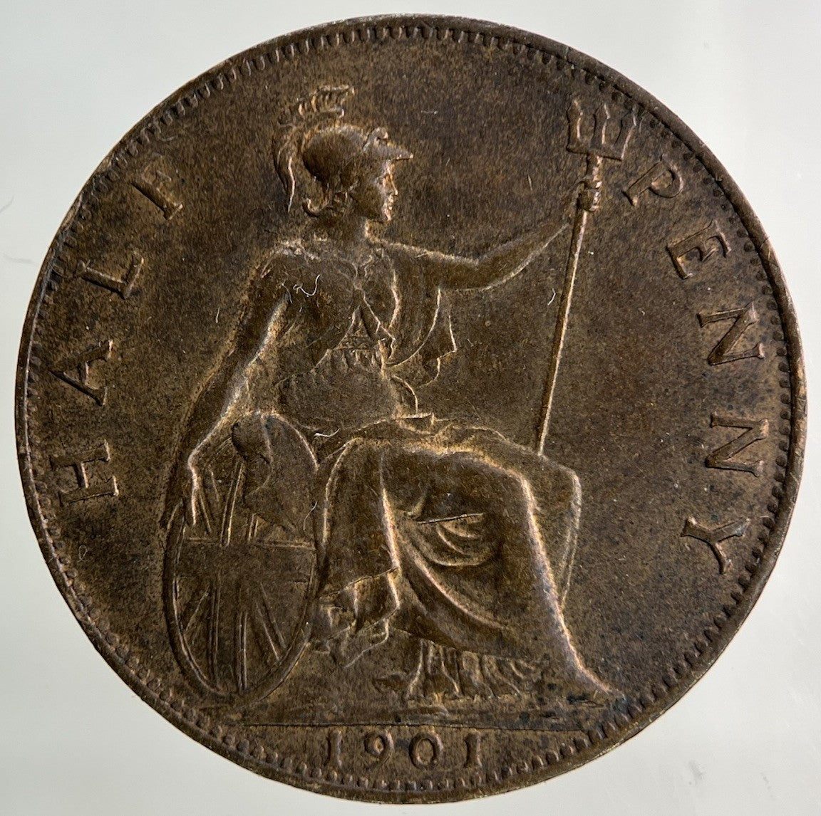 1901 Victoria Half - Penny Coin | Very High Grade