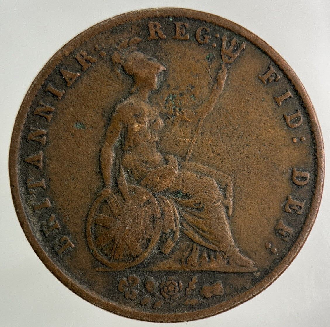 1844 Victoria Half - Penny Coin | Collectable Grade