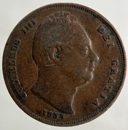 1835 William IV Farthing Coin | Collectable Grade