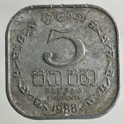 1988 Ceylon Sri Lanka 5 Cents Coin | Fine Collectable Grade