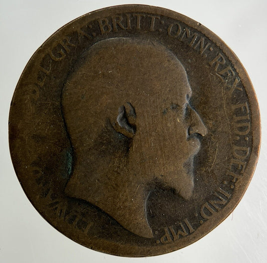 1903 Edward VII Half - Penny Coin | Collectable Grade