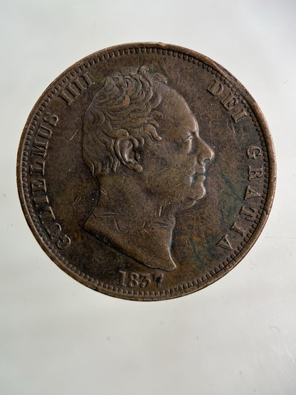 1837 William IV Half - Penny Coin | Very High Grade
