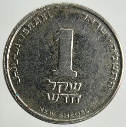 Israel New Sheqel Coin | Fine Collectable Grade