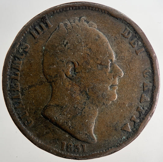 1831 William IV Half - Penny Coin | Fine Collectable Grade | a9655