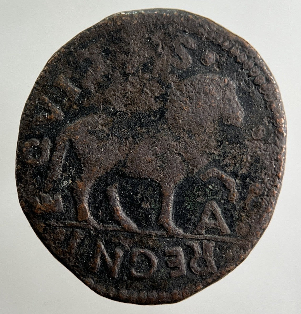 1495 - 96 Italy Caballo Aquileia Naples Ferdinand II Regni Coin Collectable Grade