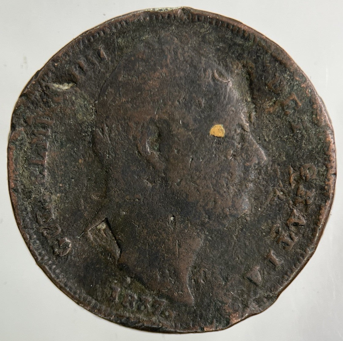 1837 William IV Farthing Coin | Collectable Grade