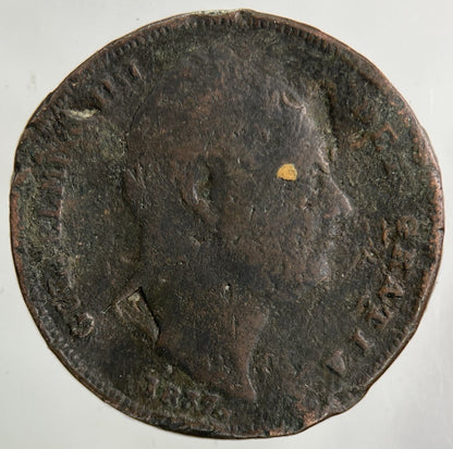 1837 William IV Farthing Coin | Collectable Grade