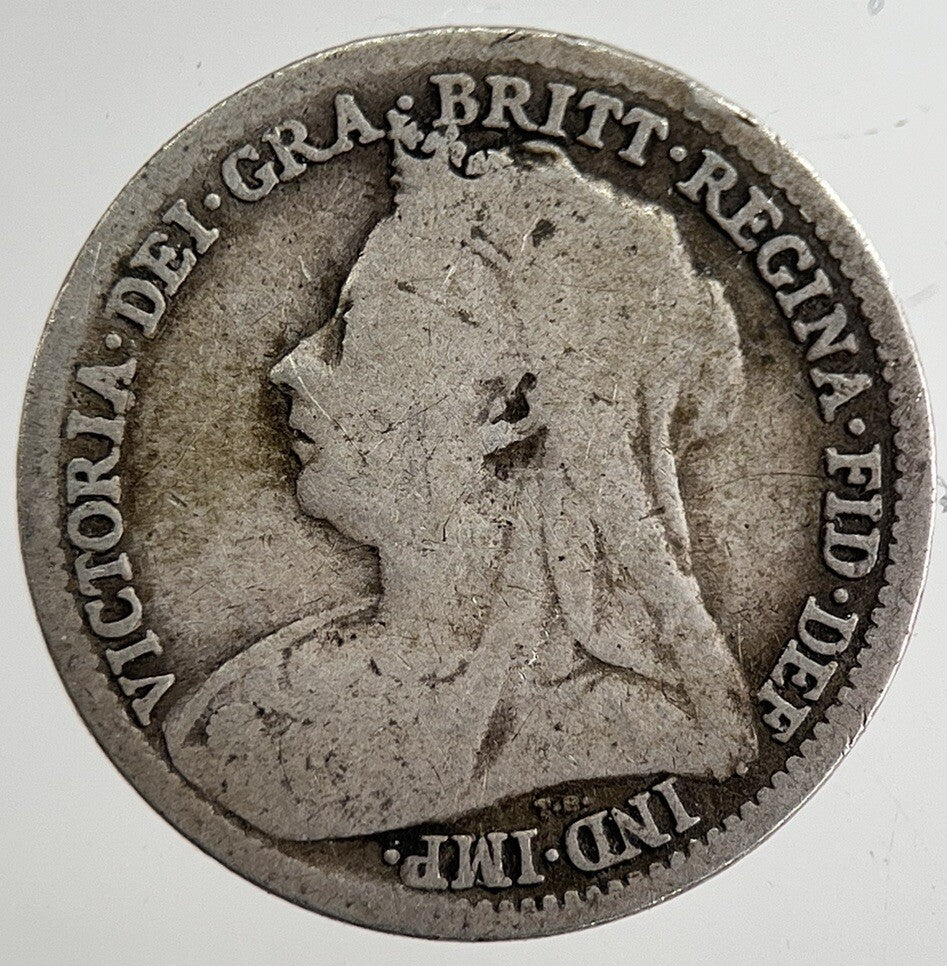 1893 Victoria Threepence Silver Coin | Collectable Grade | a8832