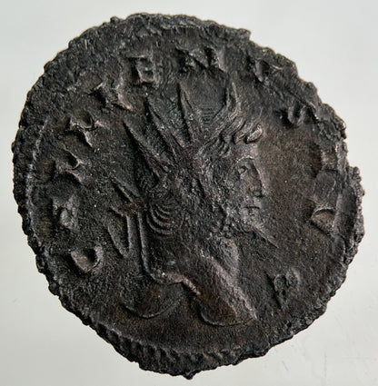 Roman Gallienus 253 - 268 AE Antoninianus Bronze Coin | Fine Collectable Grade