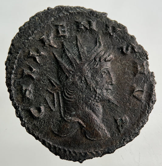 Roman Gallienus 253 - 268 AE Antoninianus Bronze Coin | Fine Collectable Grade