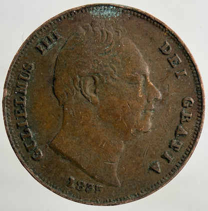 1835 William IV Farthing Coin | Fine Collectable Grade