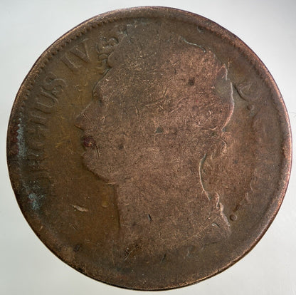 1822 Irish One Penny Coin | Collectable Grade