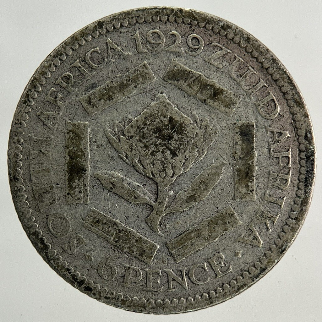 1929 South Africa Sixpence Silver Coin | Collectable Grade