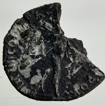 Ancient Roman Silver Denarius Coin | Fine Collectable Grade