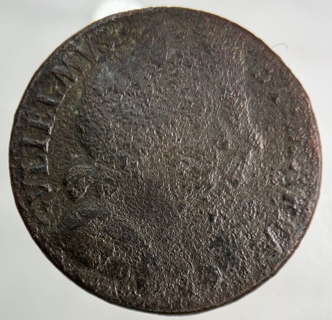 1694 William & Mary Half - Penny Coin | Collectable Grade