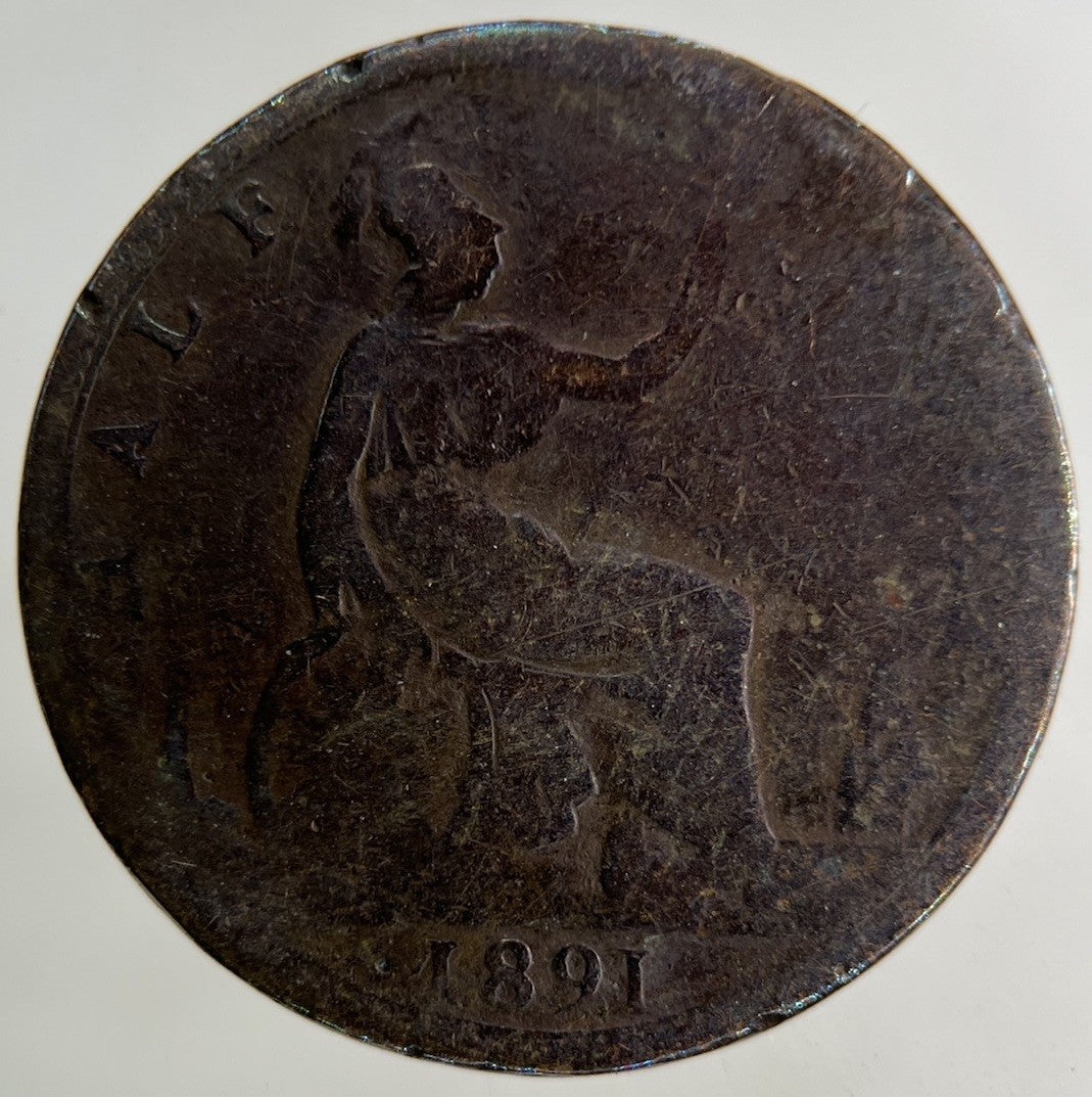 1891 Victoria Half - Penny Coin | Collectable Grade