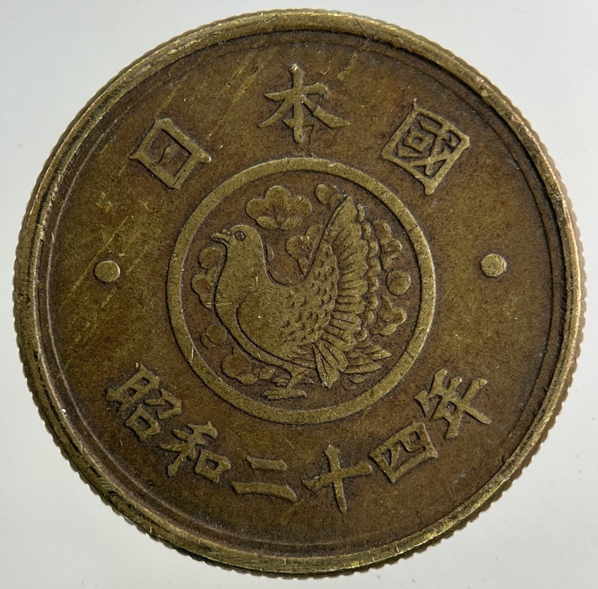 Japan 5 Yen Coin | Fine Collectable Grade