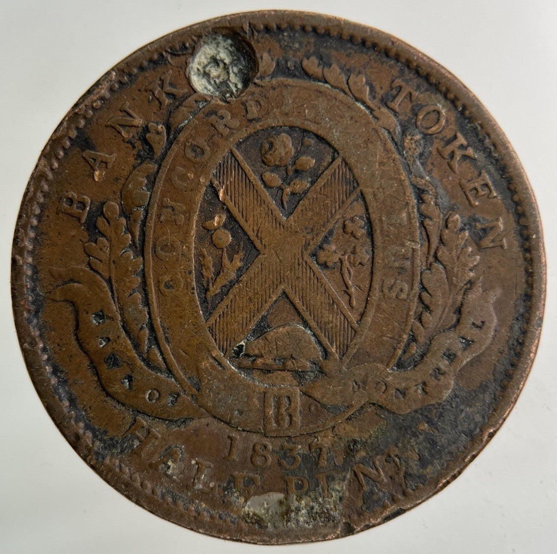 1837 Bank Of Canada Half - Penny Token Coin | Collectable Grade