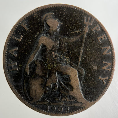 1903 Edward VII Half - Penny Coin | Collectable Grade