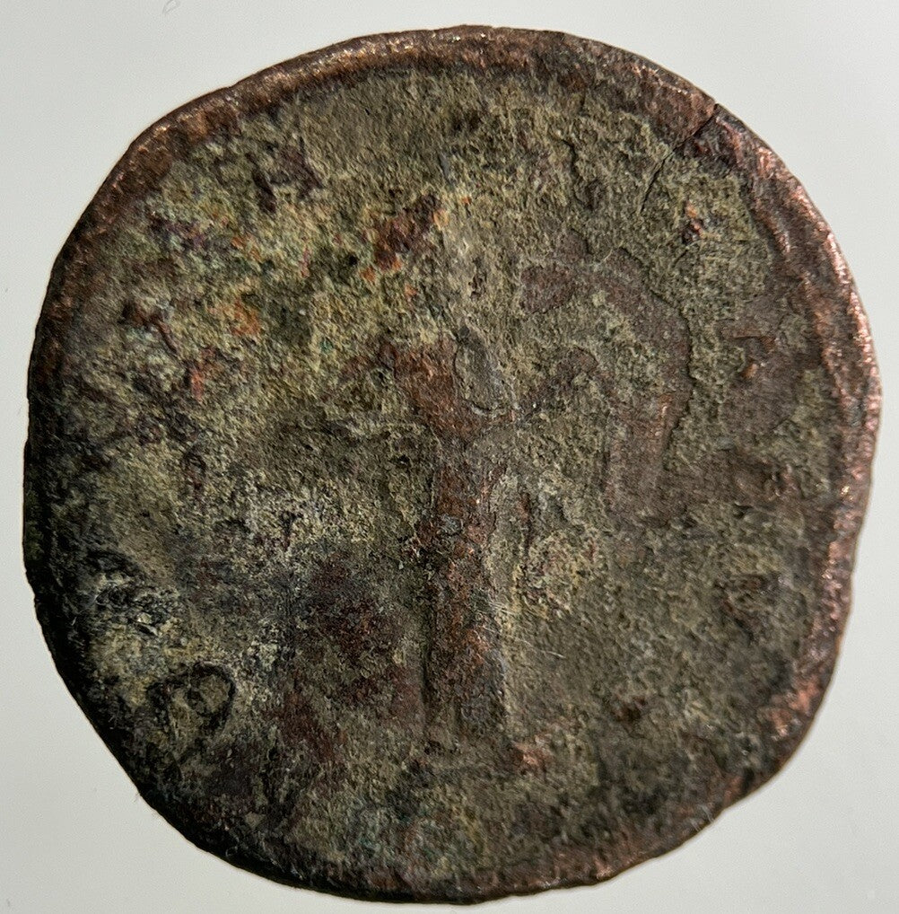 Ancient Roman Bronze Coin | Collectable Grade