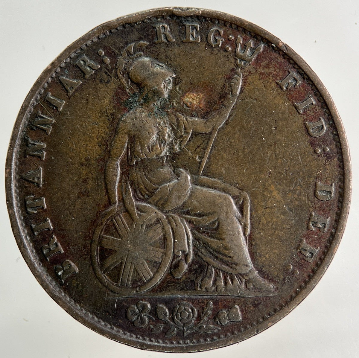1854 Victoria Half - Penny Coin | Fine Collectable Grade