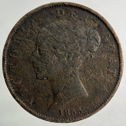1855 Victoria Half - Penny Coin | Collectable Grade