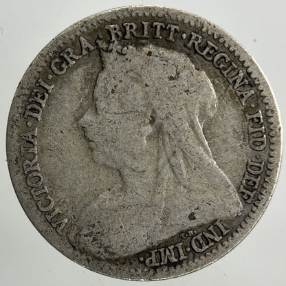 1900 Victoria Threepence Silver Coin | Collectable Grade