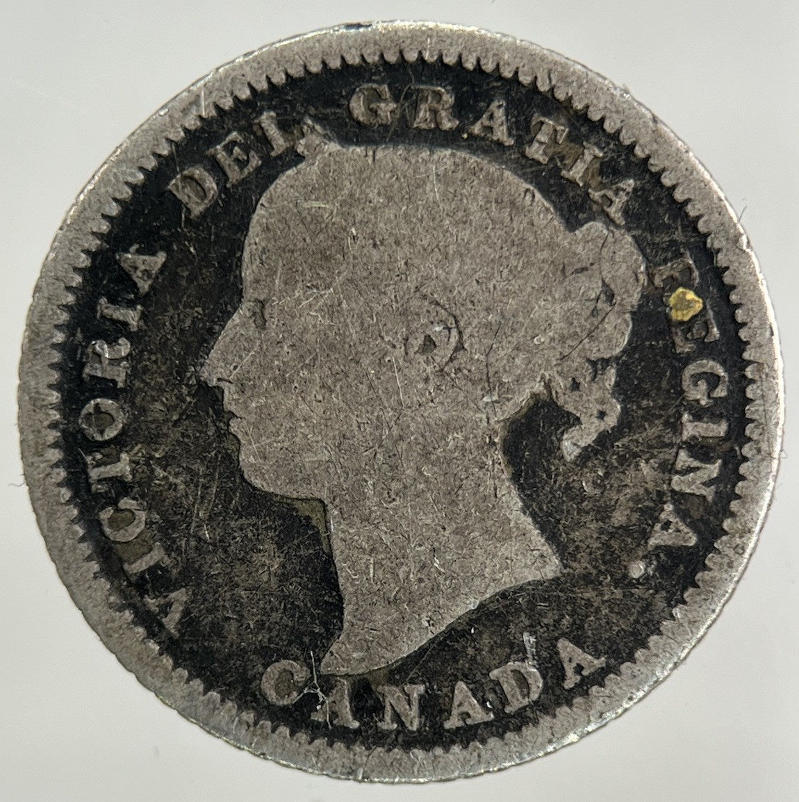 1882 - H Canada 10 Cents Silver Coin | Collectable Grade