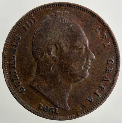 1831 William IV Farthing Coin | Fine Collectable Grade