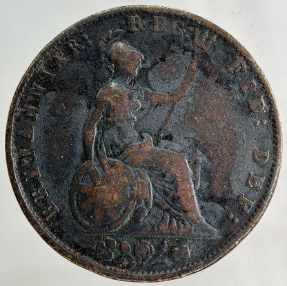 1855 Victoria Half - Penny Coin | Collectable Grade